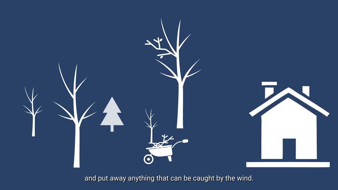 Hurricanes: Safety Tips