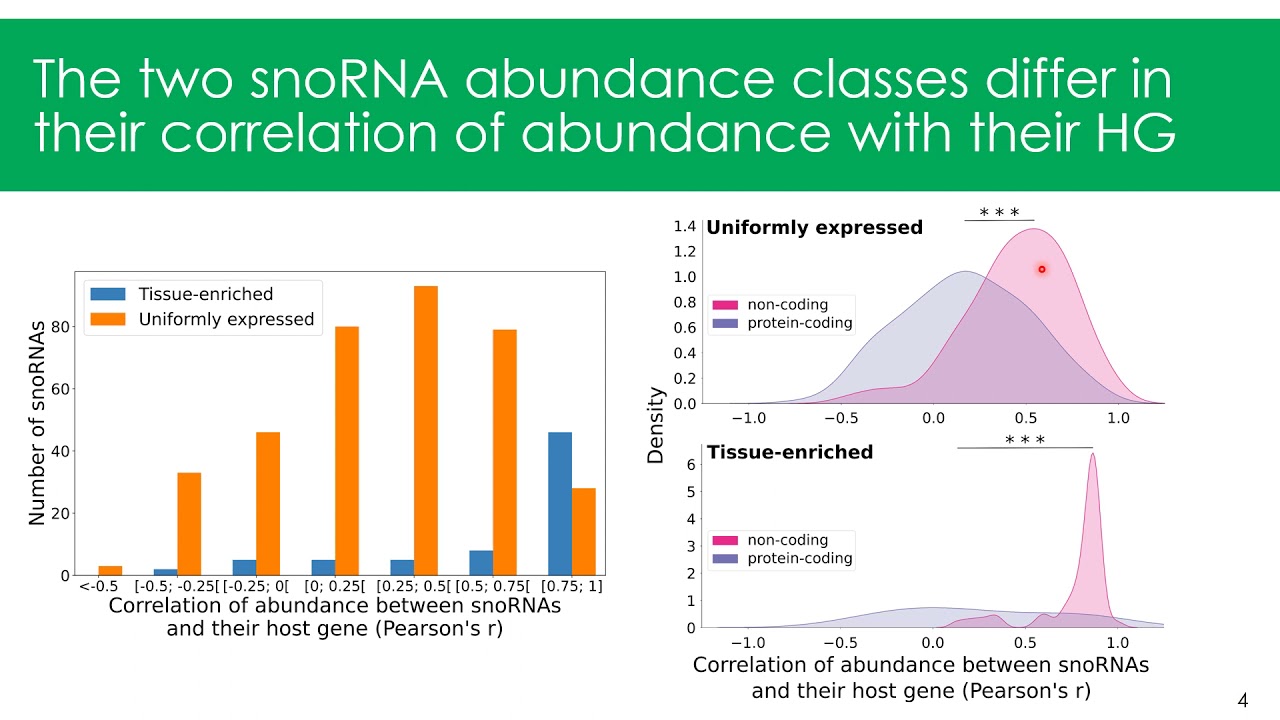 Uncovering the complexity of snoRNA-host gene... &ndash; Etienne Fafard-Coutoure &ndash; Poster &ndash; GLBIO 2021