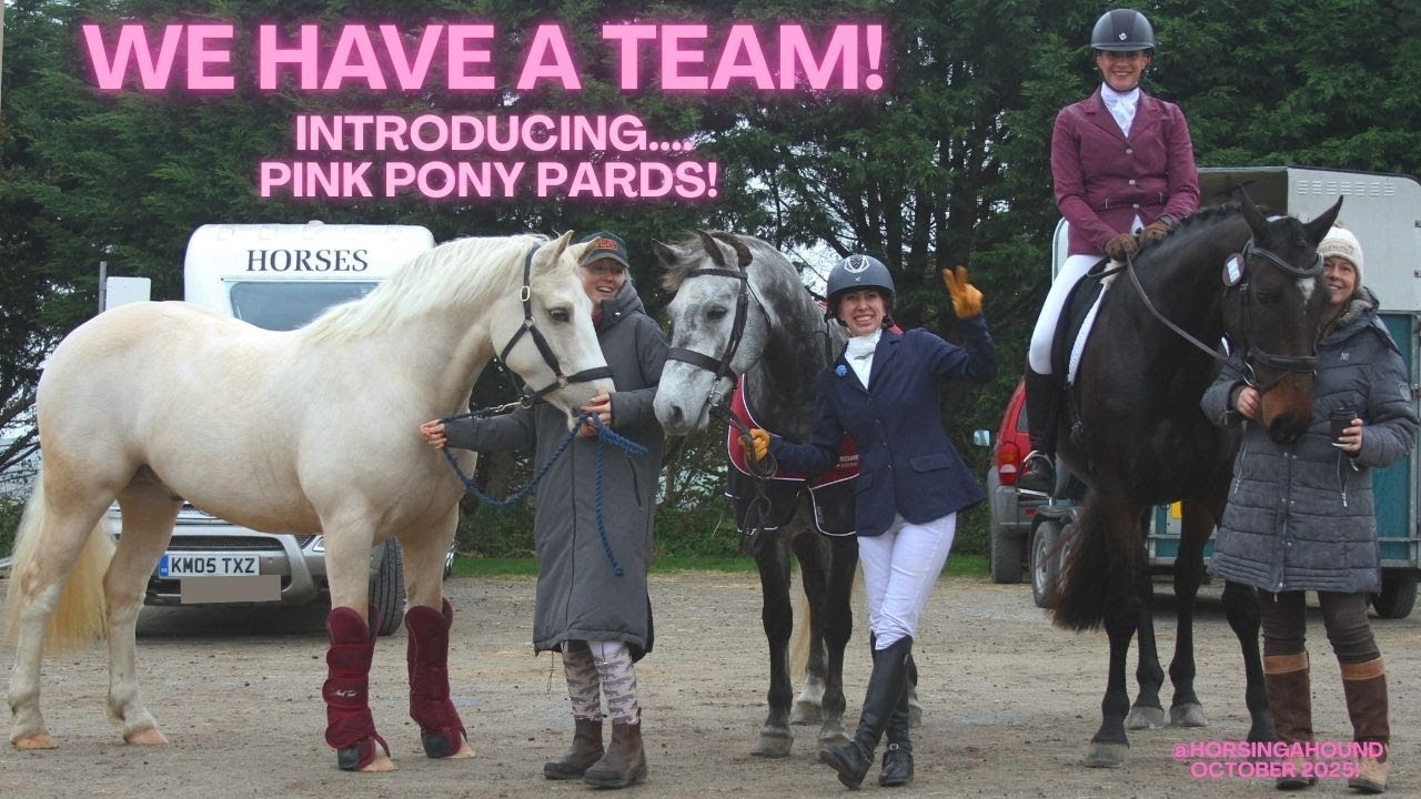 PINK PONY PARDS! We have a team!