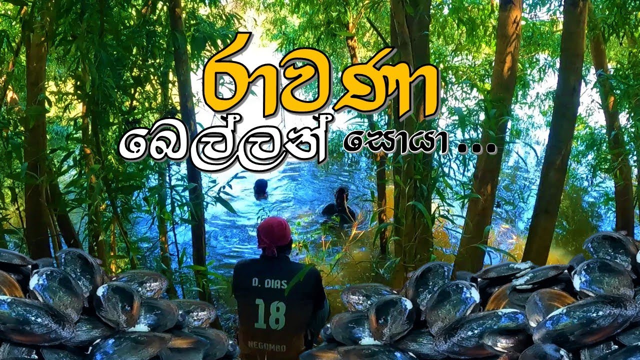 රාවණා බෙල්ලන් දඩයම | Catch & Cook | @wishwatiyubaya 👣😲🙏