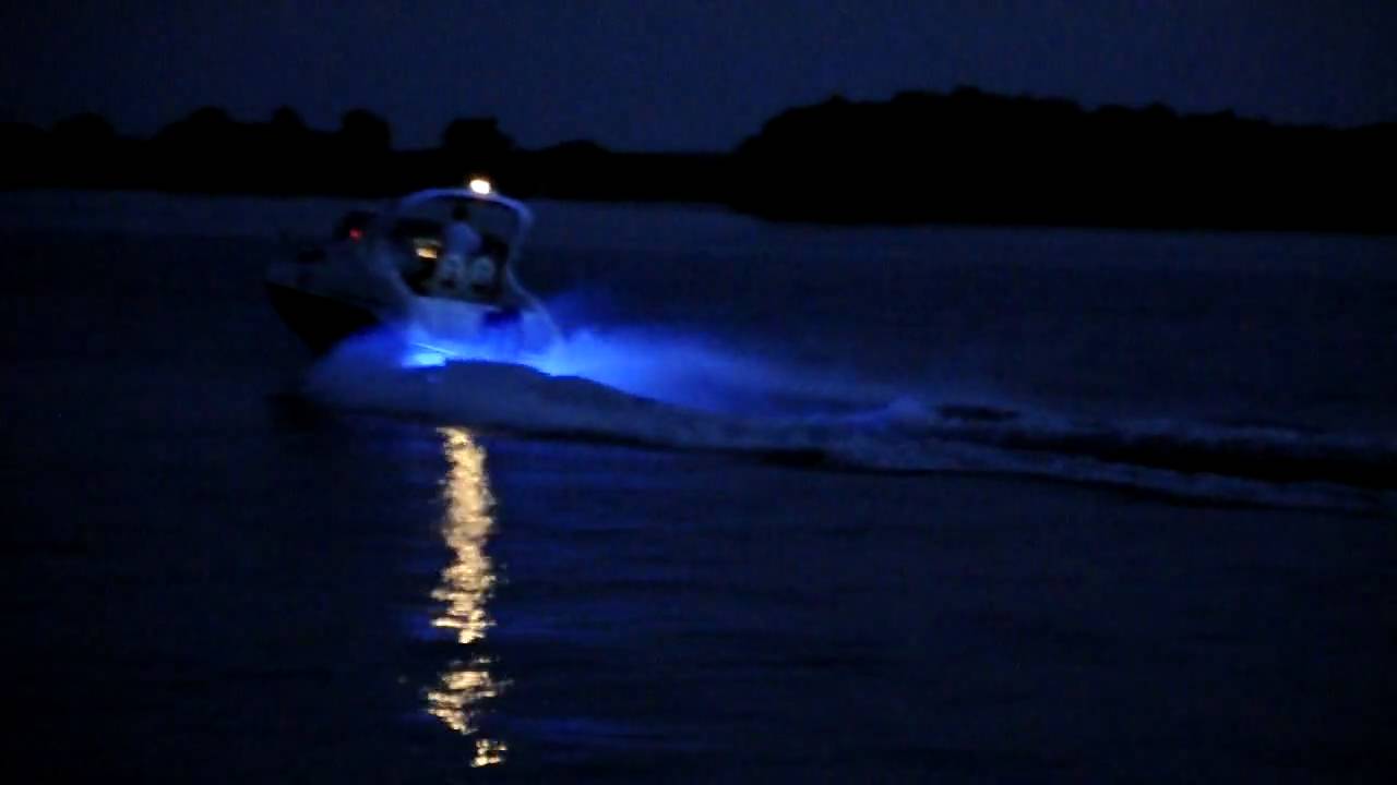 Delta Dunarii Salpa Laver 7