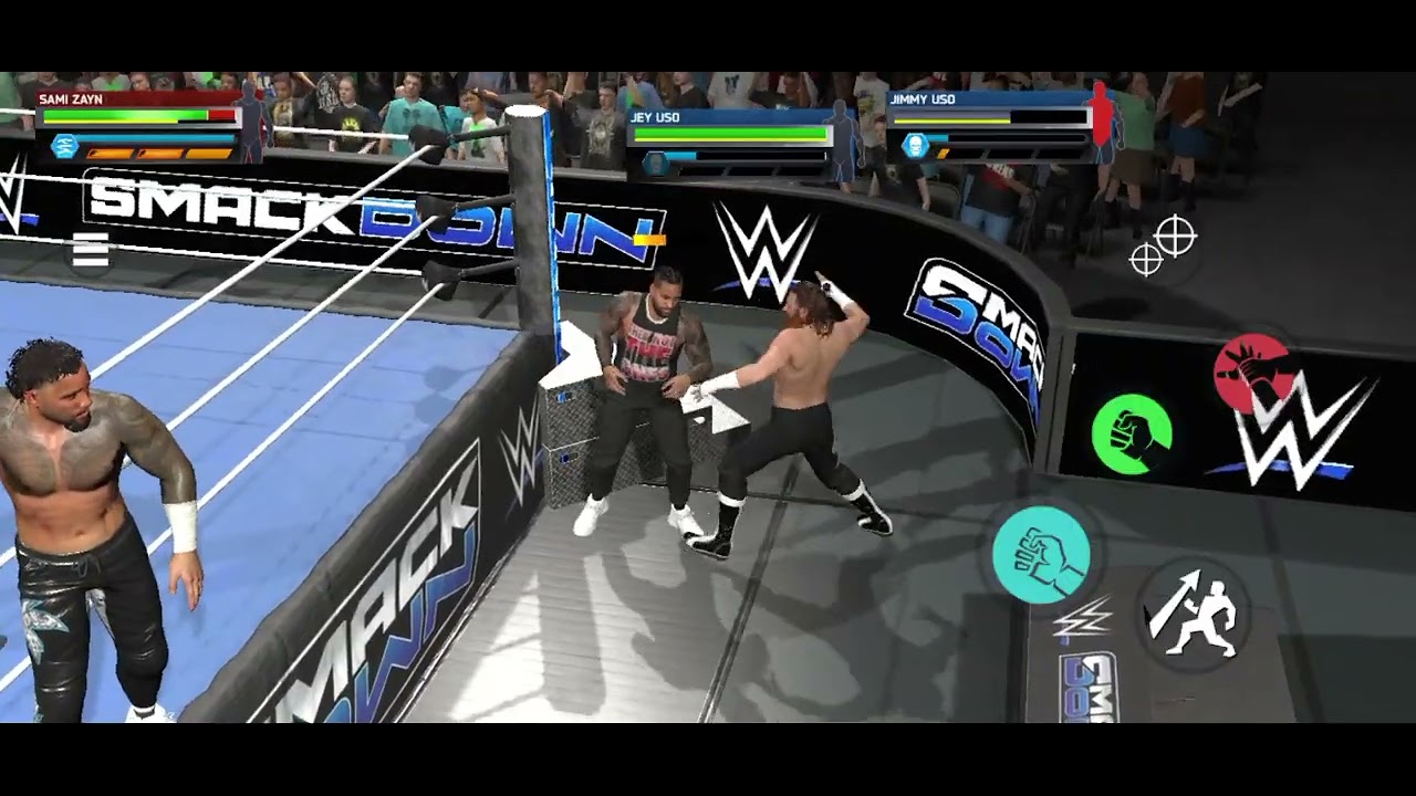 finally Sami Zayn defeated The Usos