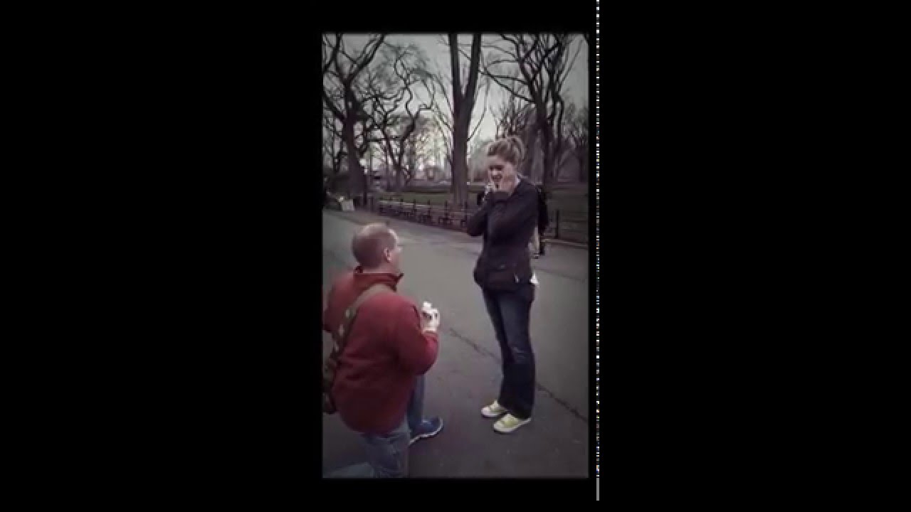 Central Park proposal!