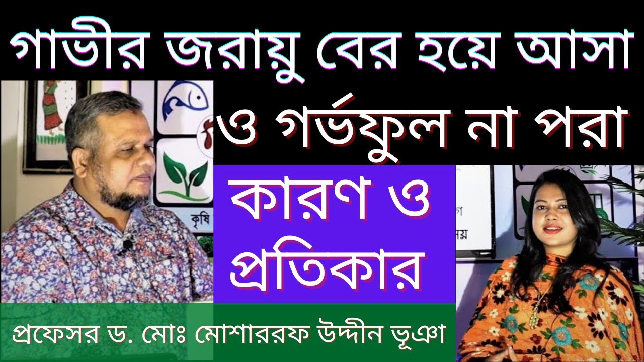গাভীর জরায়ু বের হবার ও গর্ভফুল না পরা - কারণ ও প্রতিকার | প্রফেসর ড. মোঃ মোশাররফ উদ্দীন ভূঞা#Agroaid