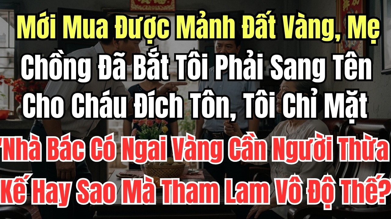 Mới Mua Được Mảnh Đất Vàng, Mẹ Chồng Đã Bắt Tôi Phải Sang Tên Cho Cháu Đích Tôn, Tôi Chỉ Mặt 