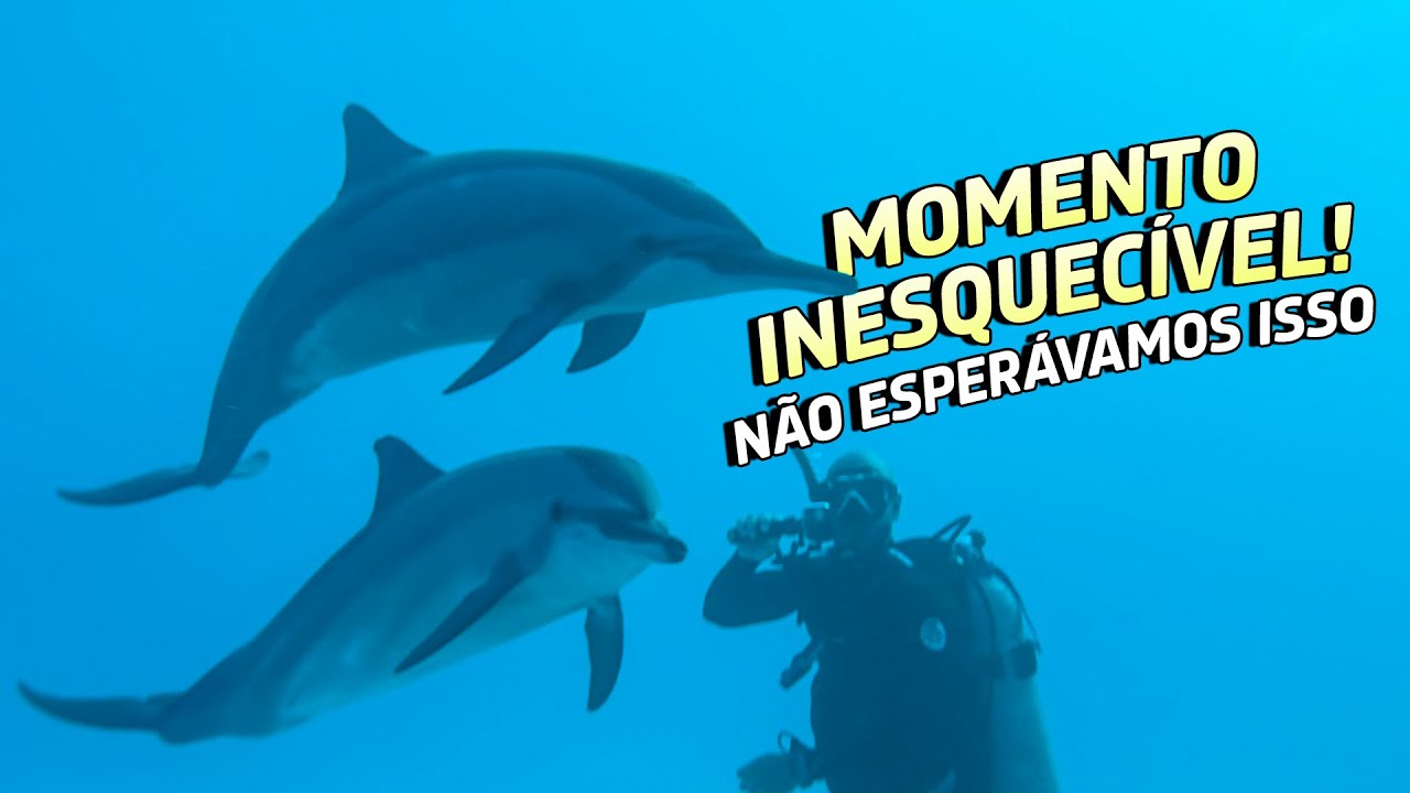 249 | Vivemos a melhor experiência das nossas vidas - COCOS KEELING