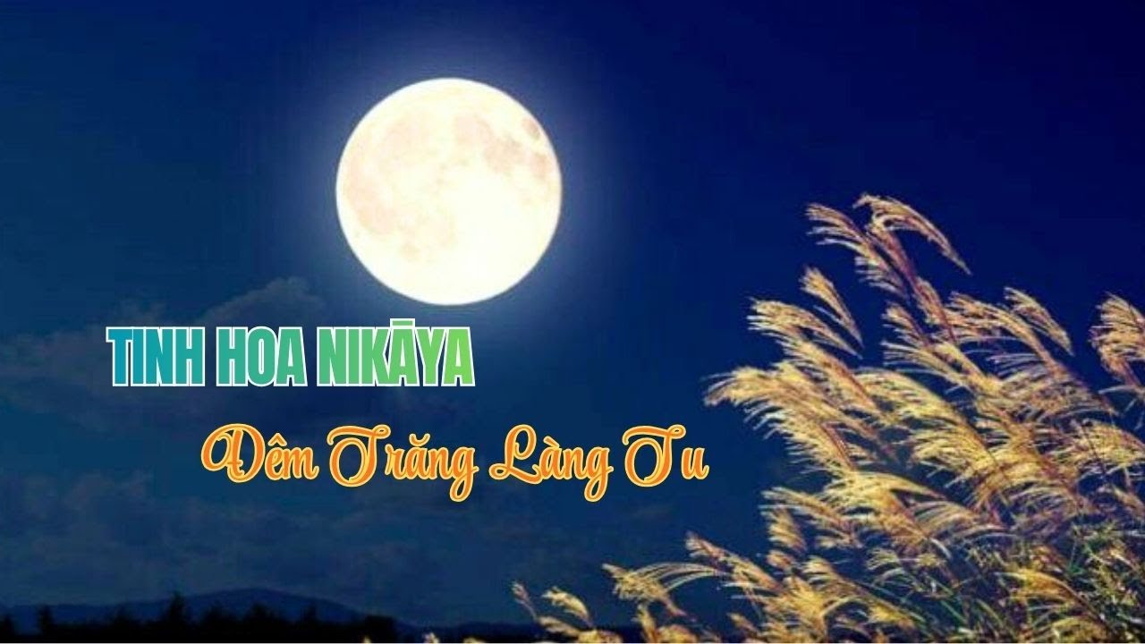 Tinh Hoa NIKAYA - Đêm Trăng Làng Tu 