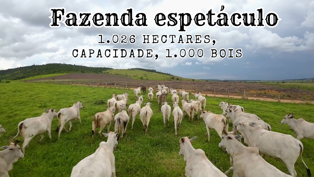 Fazenda Pecuária de excelência com 1.026 Hectares.  R$ 25.000, o hectare