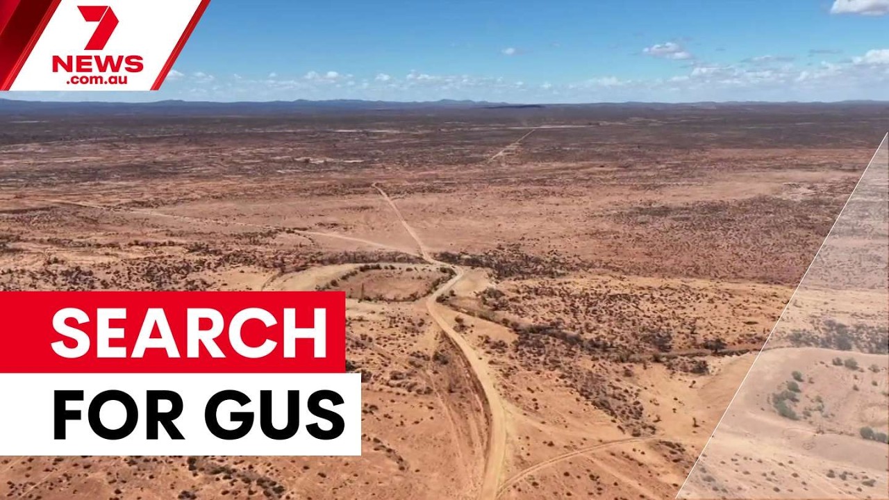 Cadaver dog called in to help search for missing Gus Lamont | 7NEWS