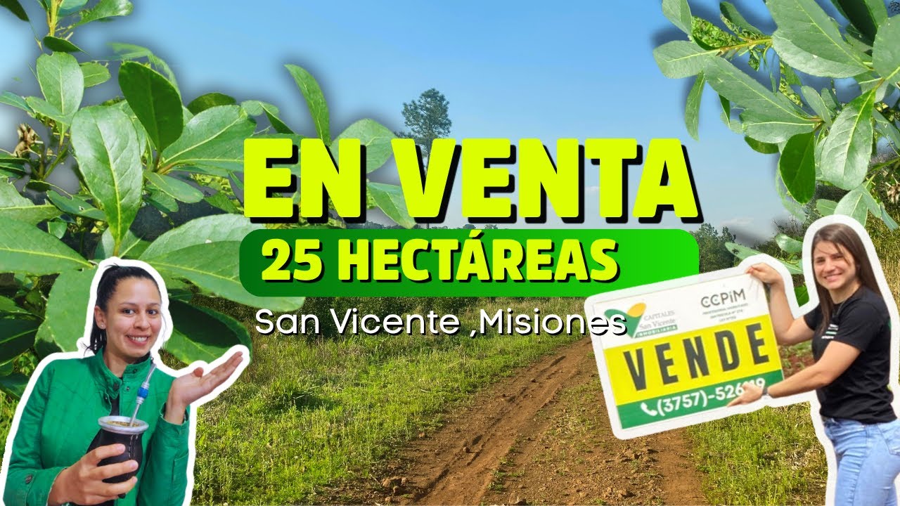 25 HECTÁREAS AGRICOLAS EN MISIONES