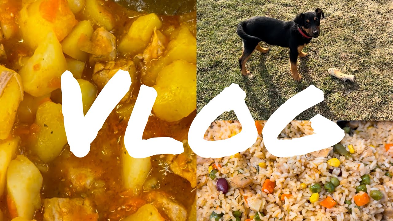❤️VLOG❤️Бюджетное меню для семьи 🧑‍🧑‍🧒‍🧒 и простые рецепты 🥘👍//Щенок🦴🐶//Быт и рутина,февраль 2026❄️