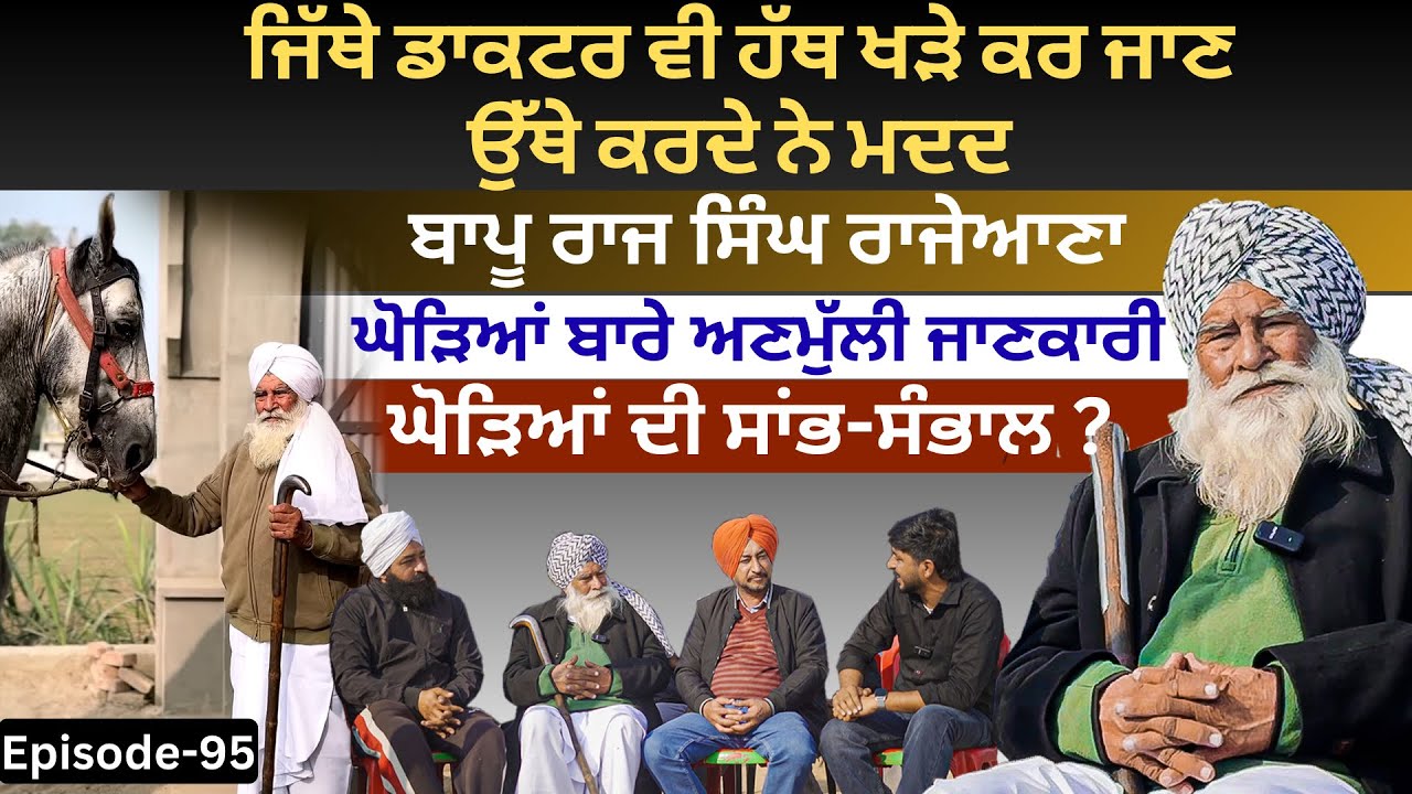 ਘੋੜਿਆਂ ਬਾਰੇ ਅਣਮੁੱਲੀ ਜਾਣਕਾਰੀ | Bapu Raj Singh Rajeana | Saanjh Dil Ton Dilan Di