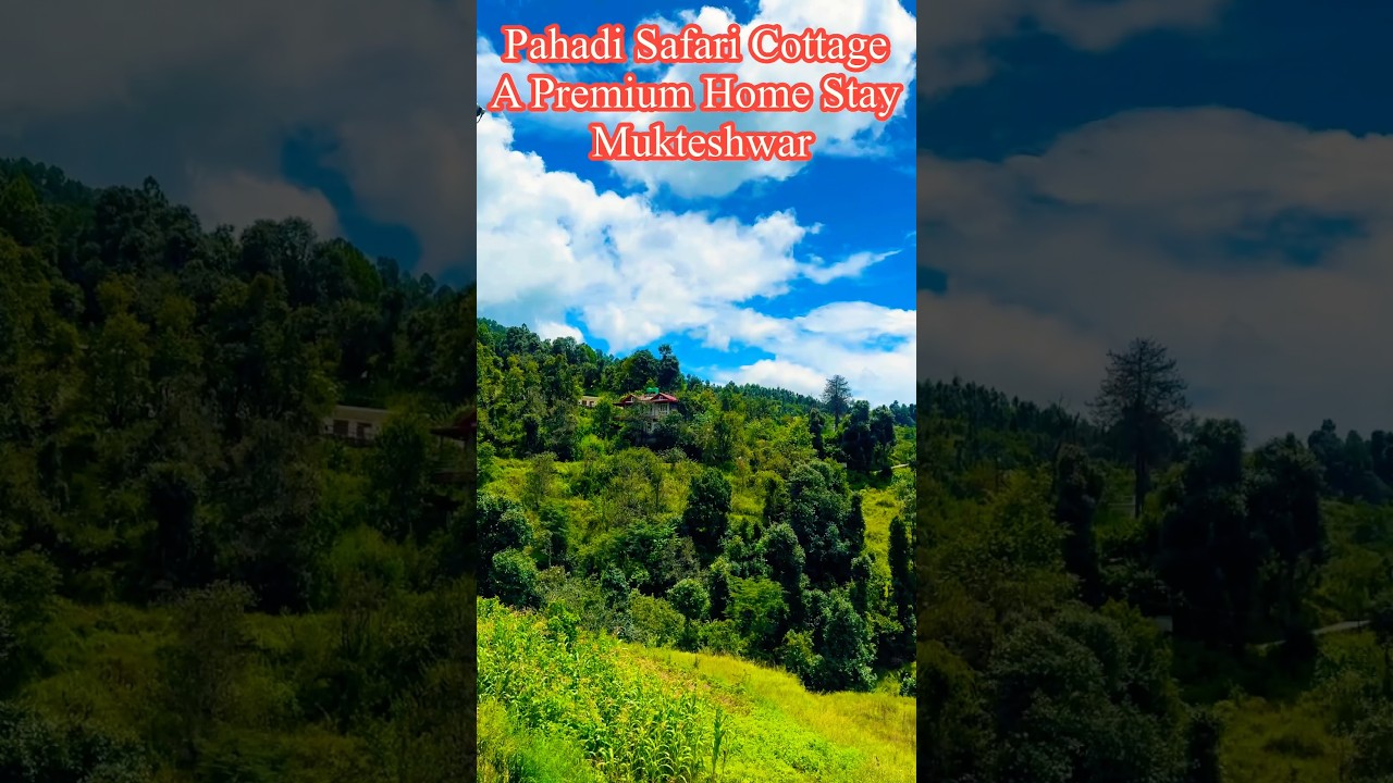 Pahadi Safari Cottage,A Premium Home Stay,Mukteshwar #pahadisafaari #bollywood #hindisong #nature