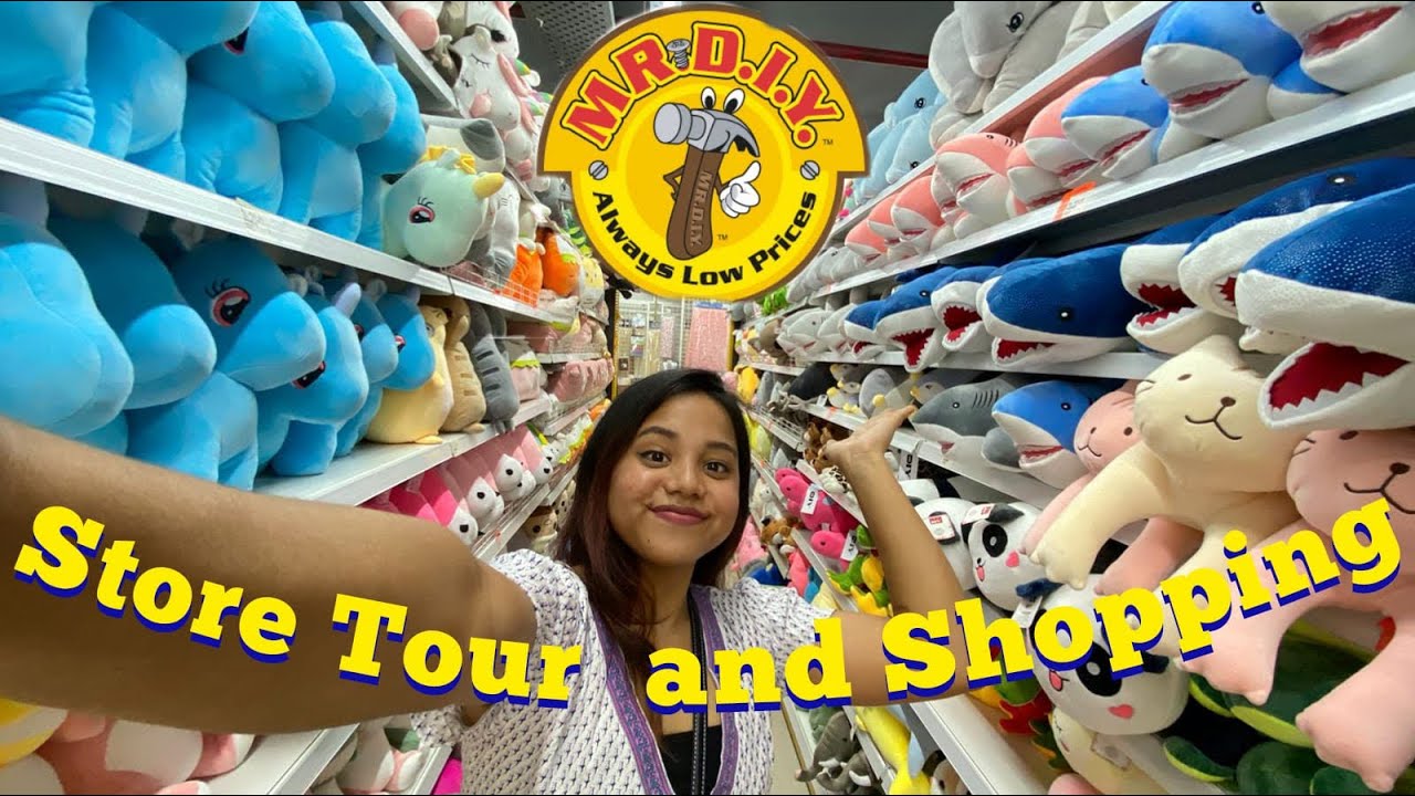 MR. DIY store in Jaipur 😱| all in one store | staring at Rs. 30 😱| store tour | 