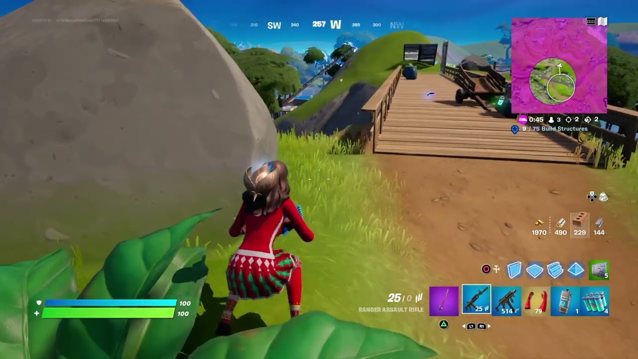 Fortnite tactical genius wins