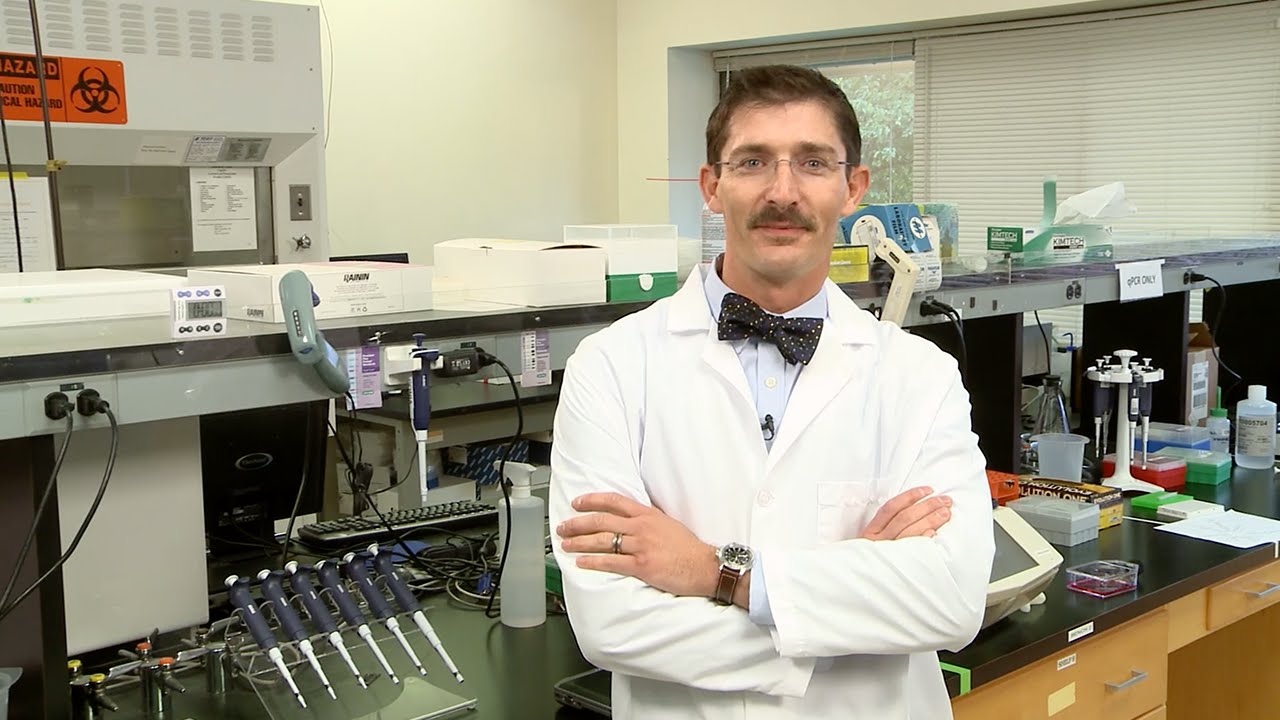 How to Design Hydrolyis Probes for qPCR