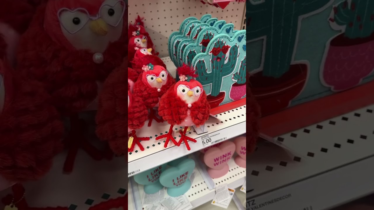 Target Valentine's Day Bird Collection!!! 💌 (husband not pleased)