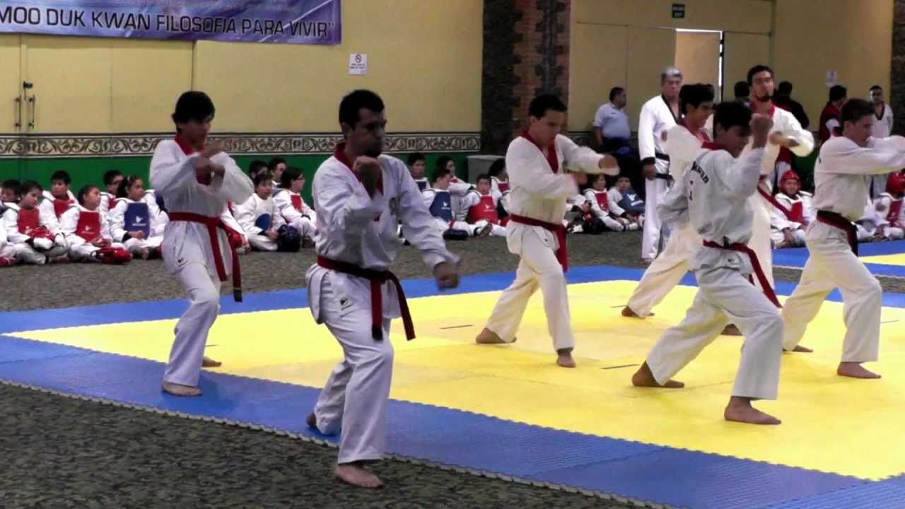 Examen 1er Dan MDK - Formas