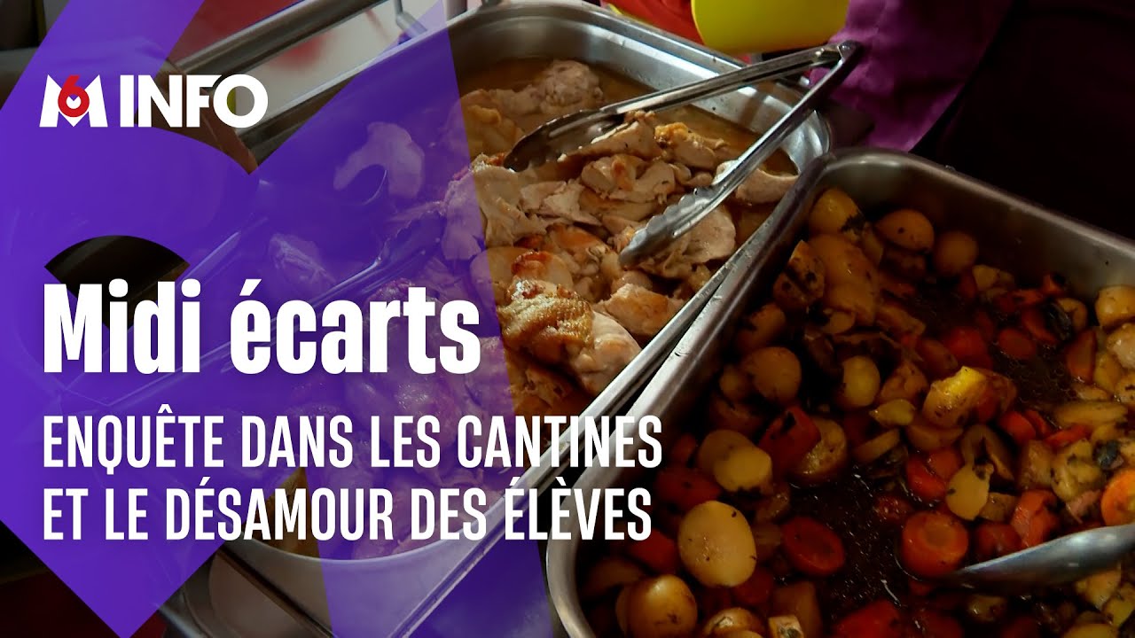 Enquête sur les cantines scolaires et les repas boudés par les élèves