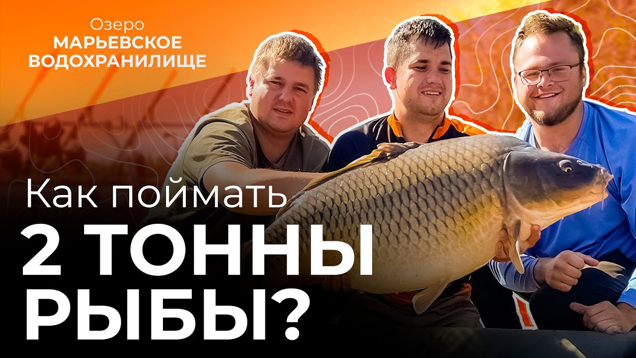 Как словить 2 тонны карпов на турнире по карпфишинге? | Orient Monster Carp Cup | Часть 1