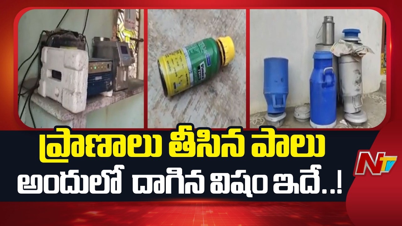 కల్తీ పాలలో దాగిన విషం ఇదే | Shocking Facts Revealed in  Adulterated Milk in Rajahmundry | NTV