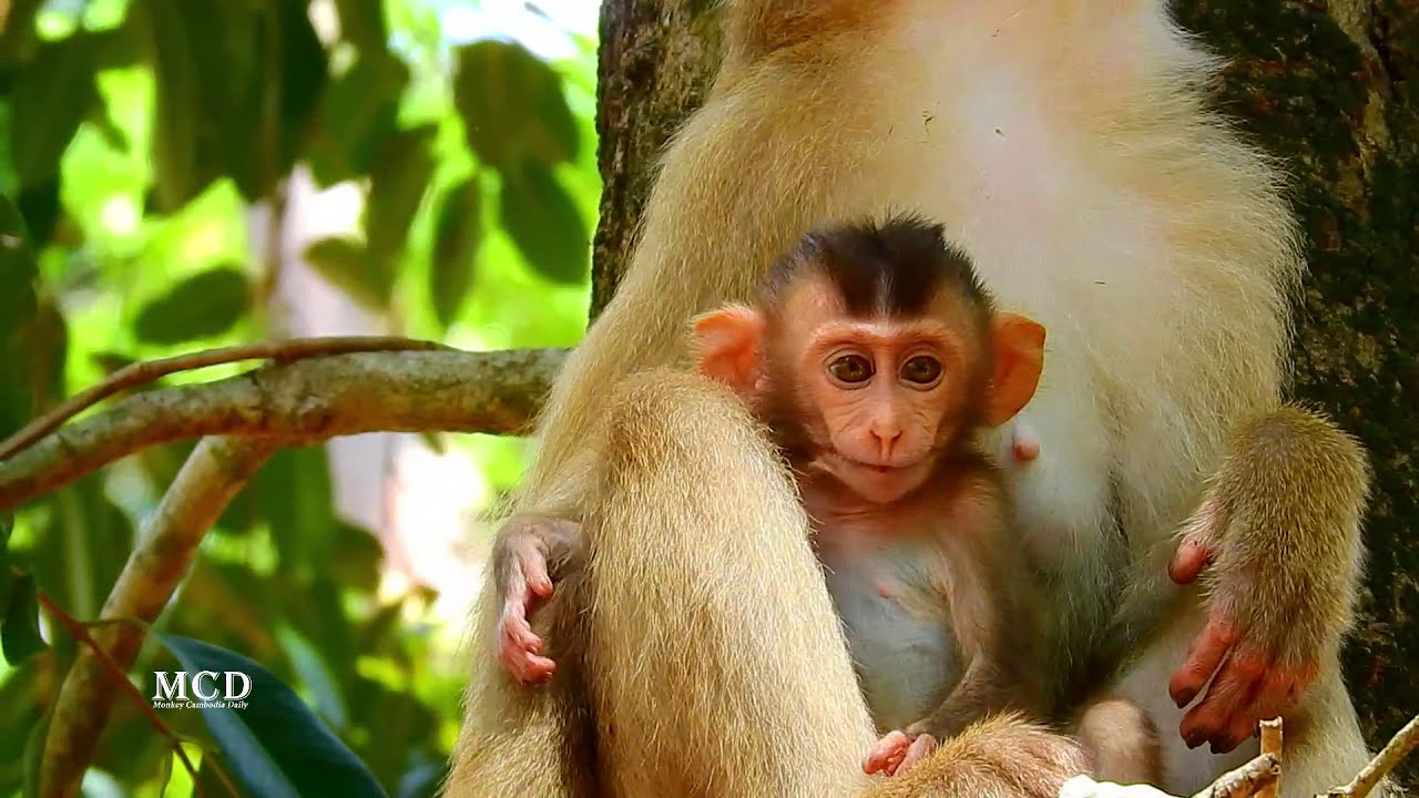 Tiny son meets big sister