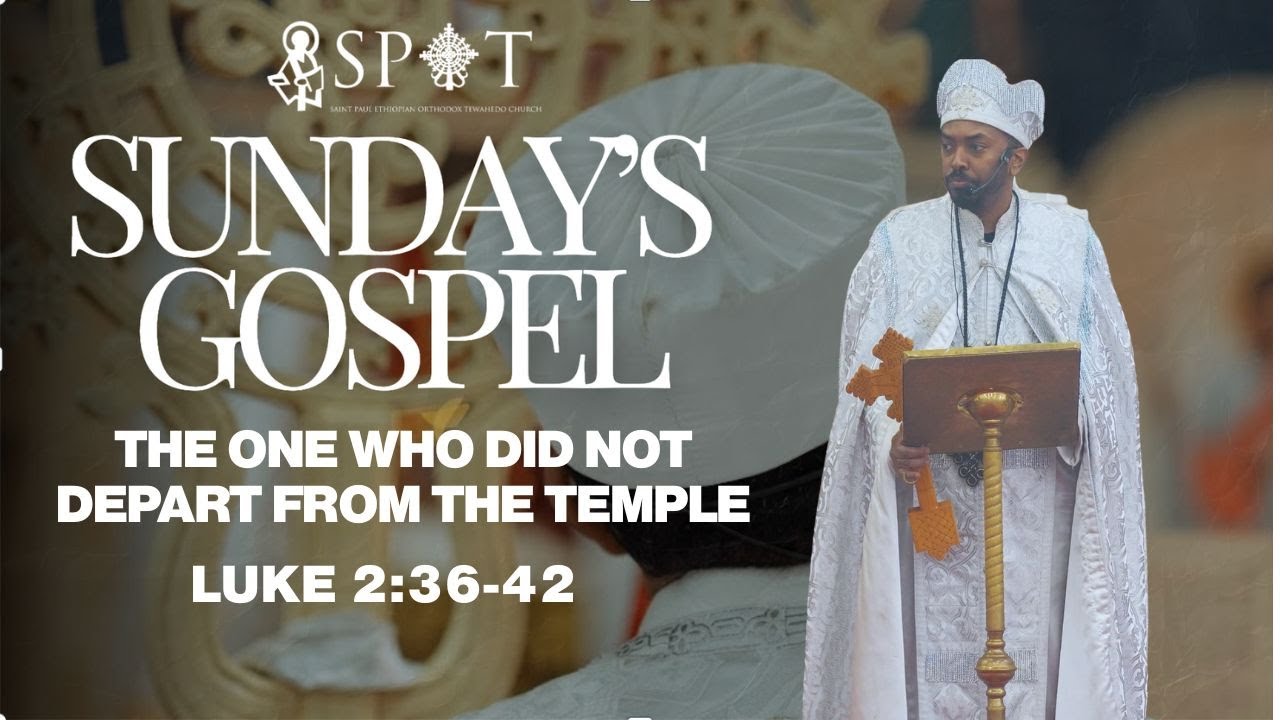 The One Who Did Not Depart From The Temple || Luke 2:36-42
