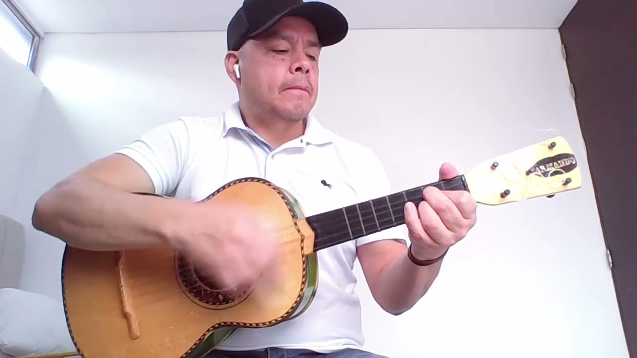 PURO MICHOACAN (Vicente Fernández) vihuela