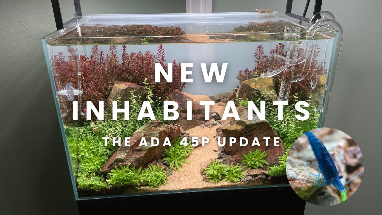 New inhabitants in the ADA 45P