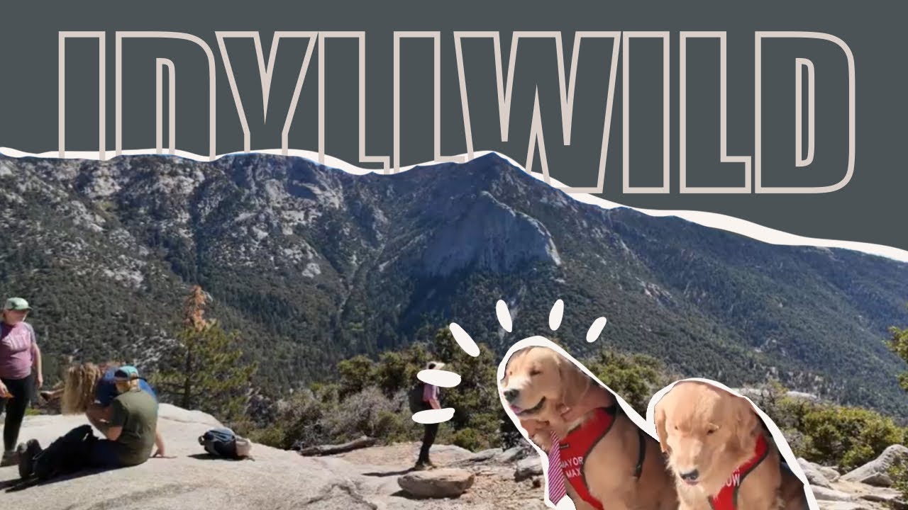 ᴜꜱᴀ 南加州｜這裡的市長竟然不是人？值得嘗試的健行步道以及冰淇淋店｜ Idyllwild