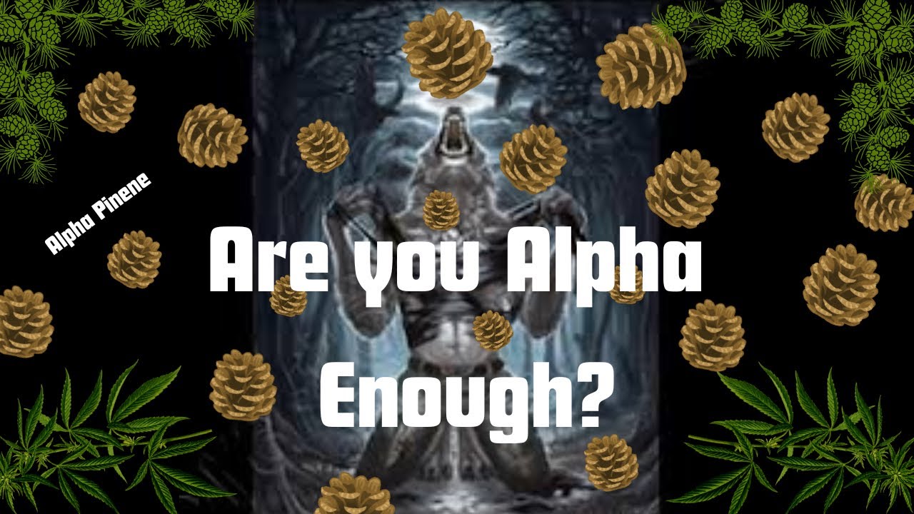 Alpha-Pinene: The Terpene That Clears Your Mind and Lungs 🌲 | Cannabis Science Explained