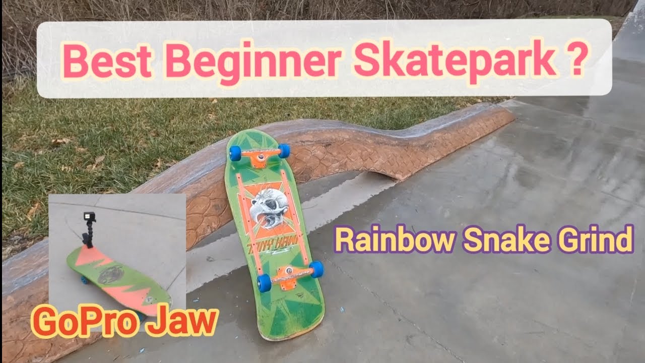 Tony Hawk Reissue Skateboard GoPro Jaw POV at La Grange Skatepark Grinds, Board Slides, Ollies #2024