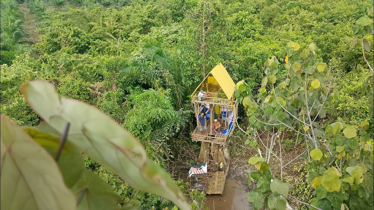 camping hujan deras membagun shelter di pucuk pohon besar tiga lantai makan enak tidur yenyak