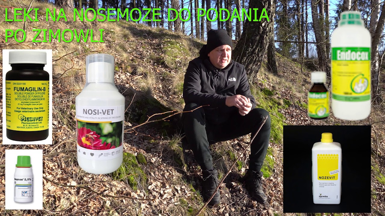 Co dać na nosemę wiosną - jak ktoś ma pszczoły z problemami żołądkowymi