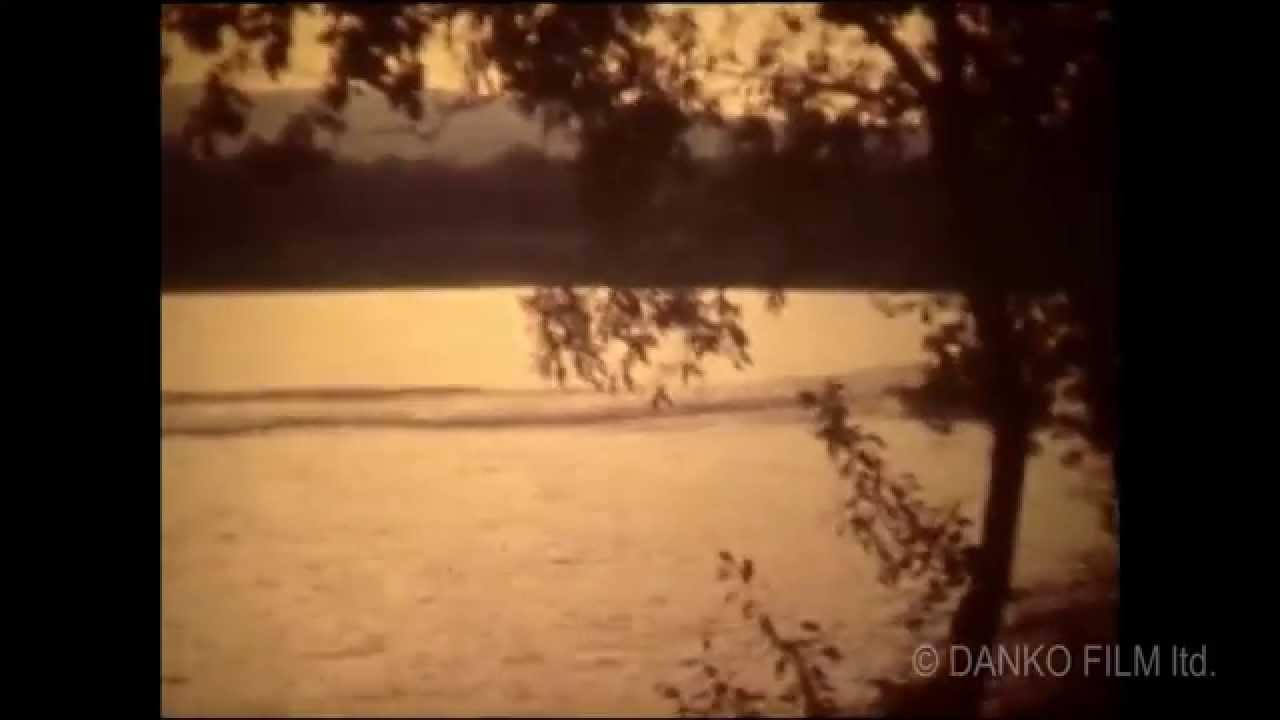 Vzpomínky varnsdorfského rybníka / Memories of Varnsdorf Pond