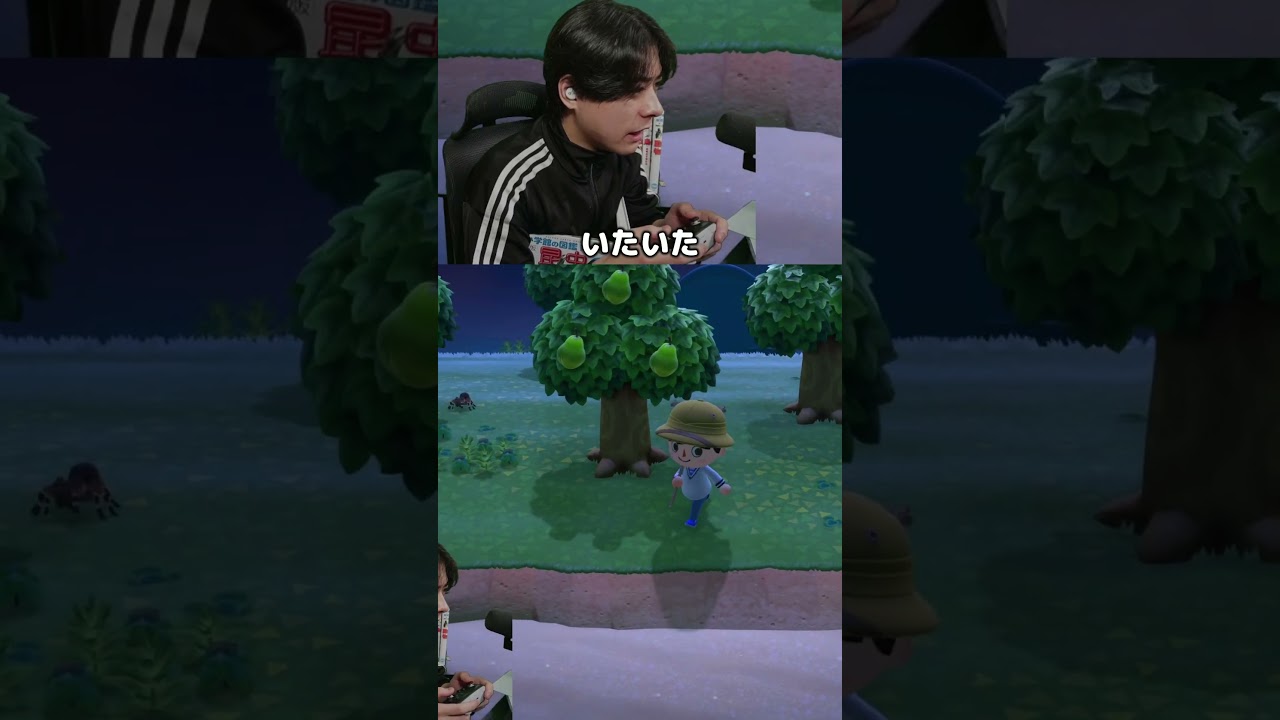 タランチュラの別名について  #シャオメイ ＃あつもり ＃マイクラ