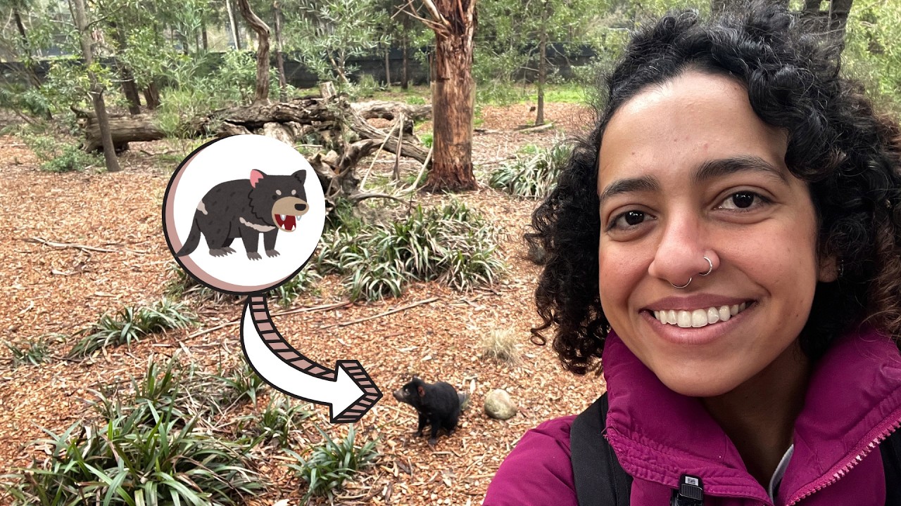 SOU APAIXONADA PELOS ANIMAIS DA AUSTRÁLIA | Conheci um santuário de bichos na Austrália