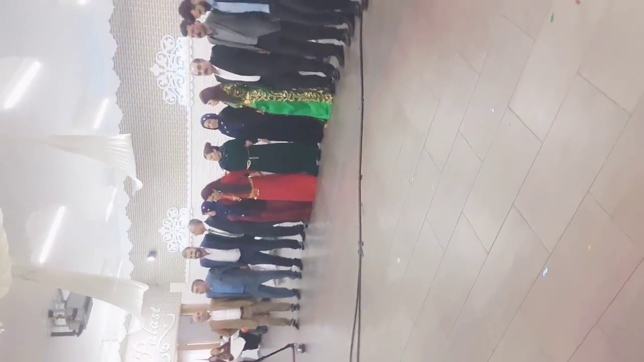 Viranşehir Düğünü 2017 Almanya