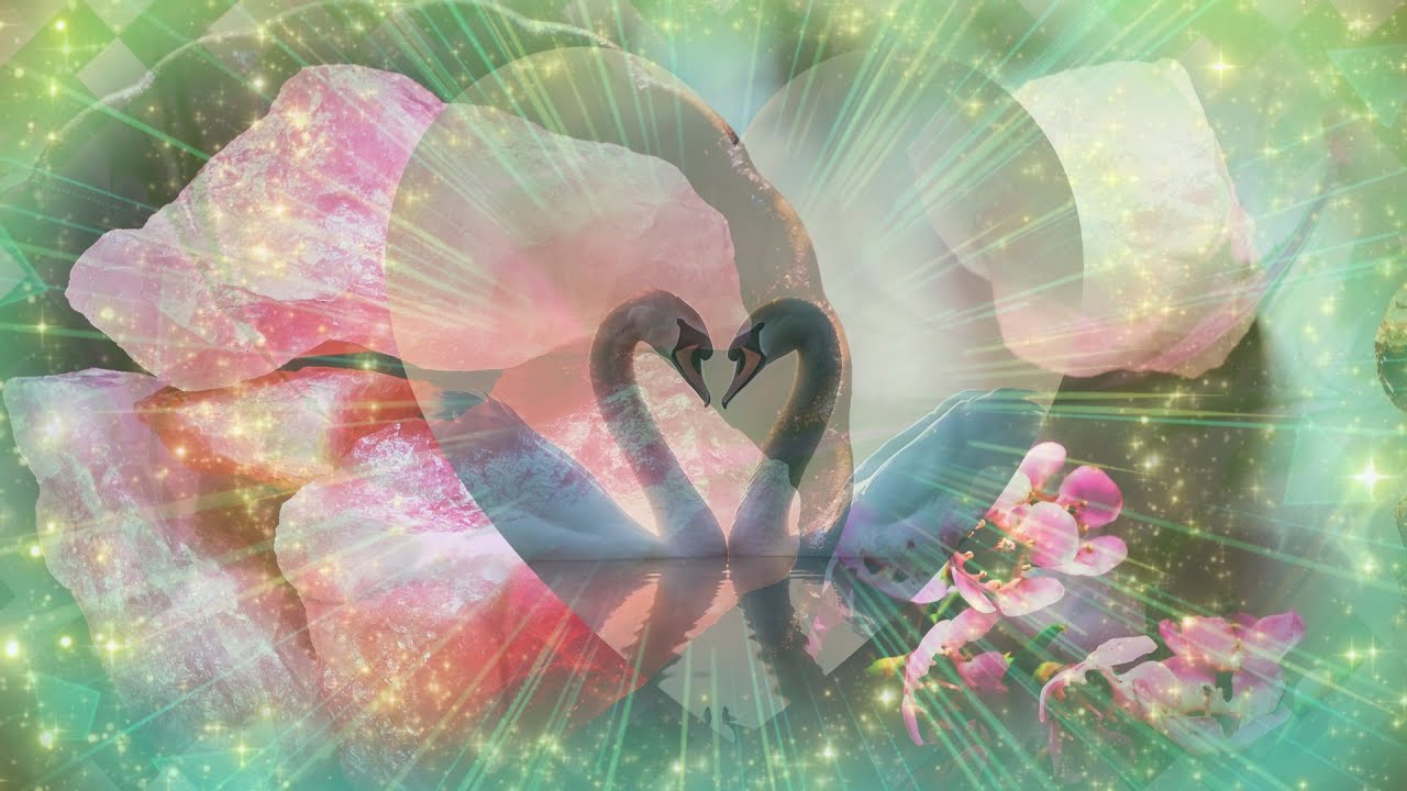 🦢Soulmate Union💞Sound Healing 🦢