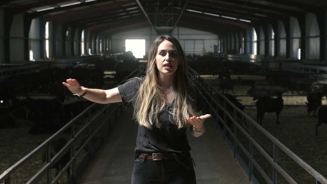 GEMA CARRANCO, caprino Murciano-Granadino (ACRIMUR)