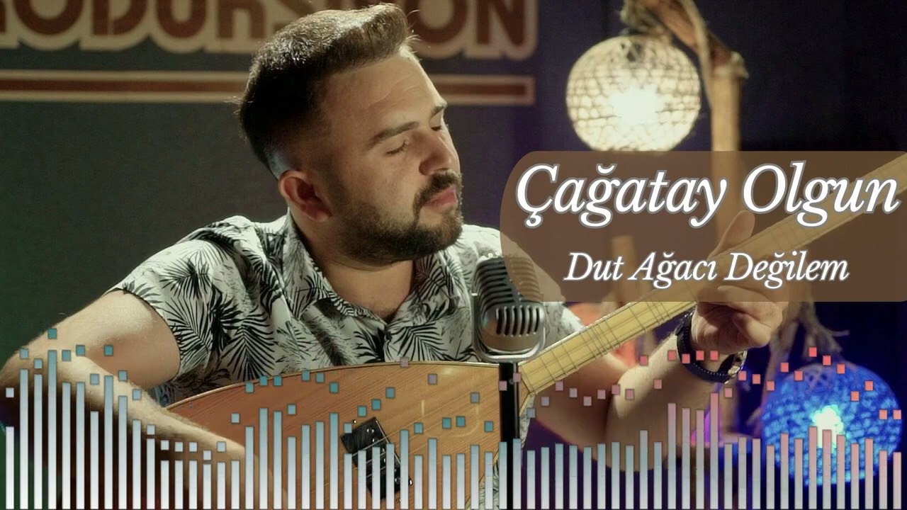 Çağatay Olgun Dut Ağacı Değilem - 2023