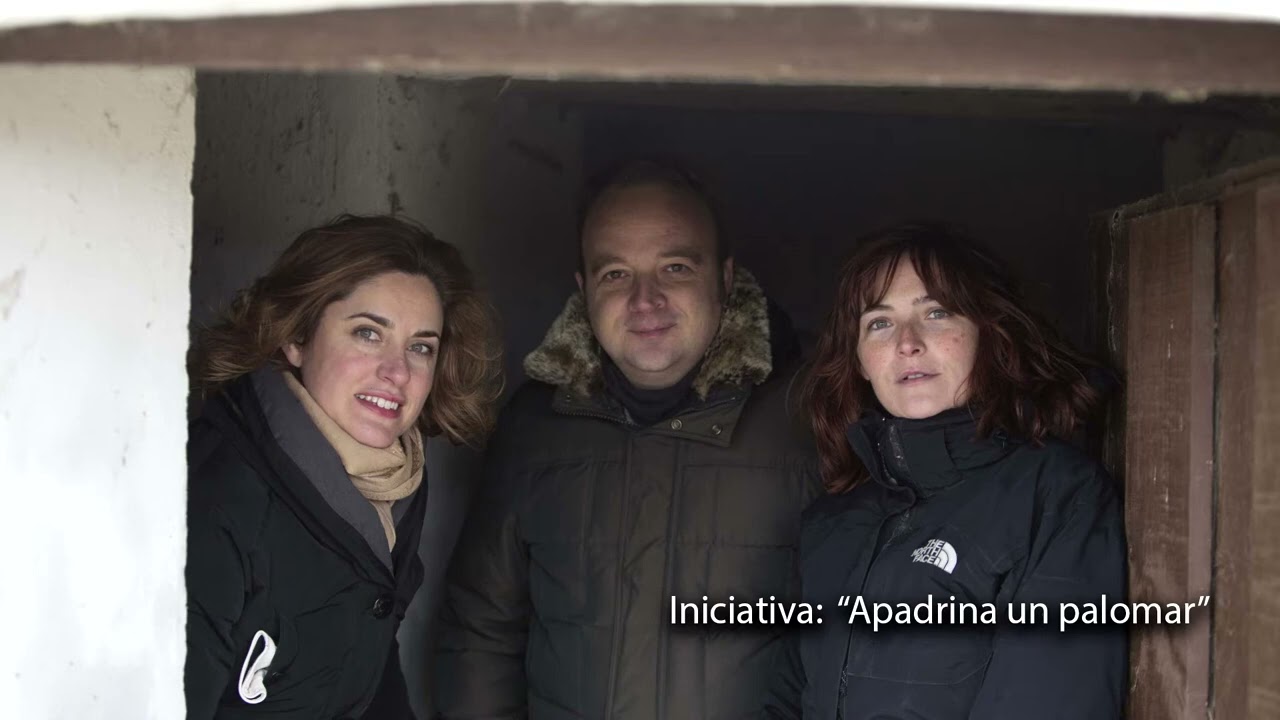 PRESENTACIÓN DE VIDEOS E IMAGENES DE FUNDACIÓN REHABITAR 2020