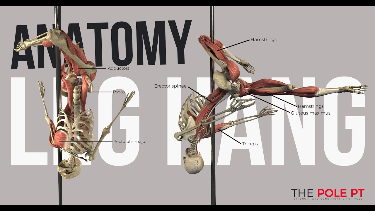 Pole Anatomy - Outside Leg Hang