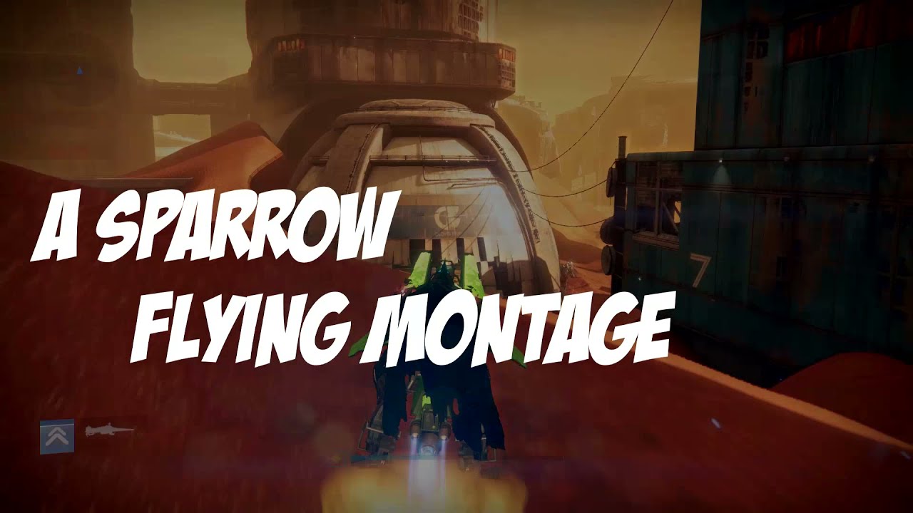 A Sparrow flying montage