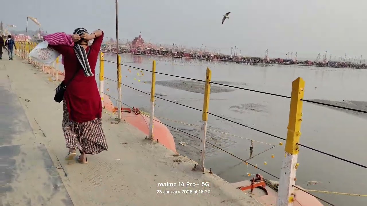 Magh Mela 2026 || Return by Pool No. 1 || Triveni Sangam Apparent View | Siberian Cranes || Sun Set 