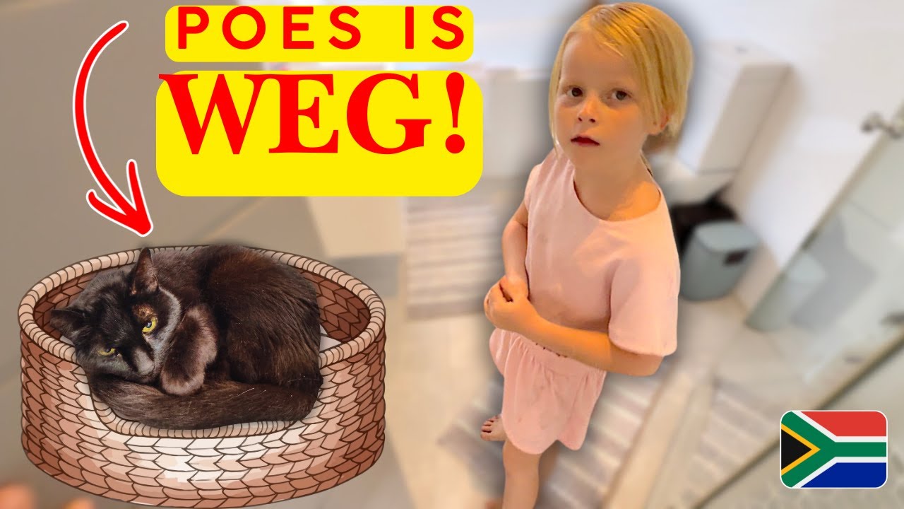 DE POES IS WEG! 🥹 + homeschool day in KAAPSTAD | Bellinga Vlog #3501