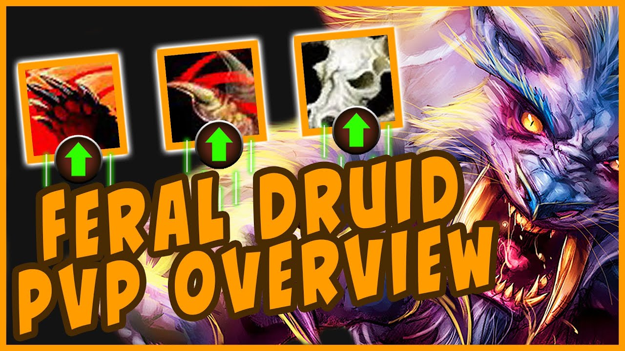 Feral Druid PVP Overview for Classic WoW Season of Discovery