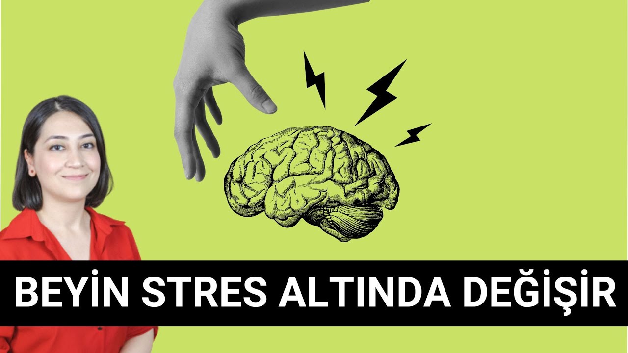 BEYİN STRES ALTINDA DEĞİŞİR-KURTARMAK ELİNİZDE