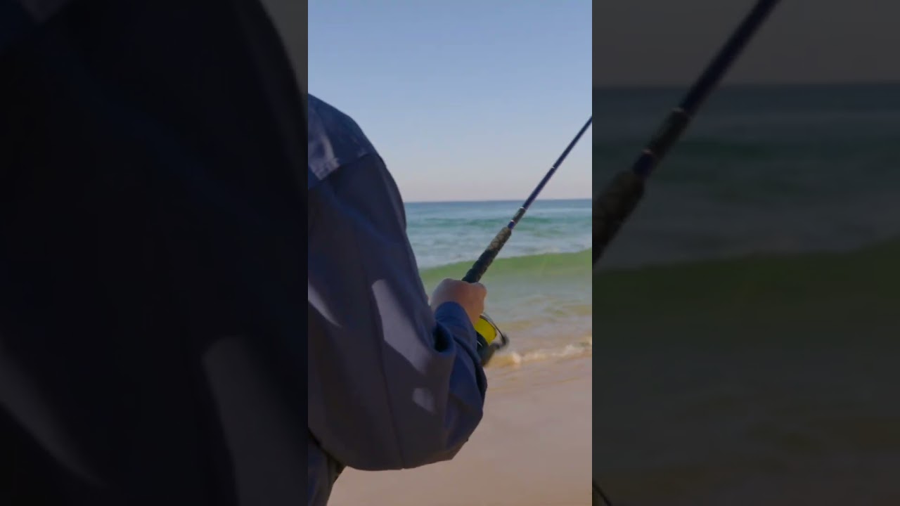 Sight-Casting To Fish In The Surf! #fishing #beachfishing #surfishing #shorts