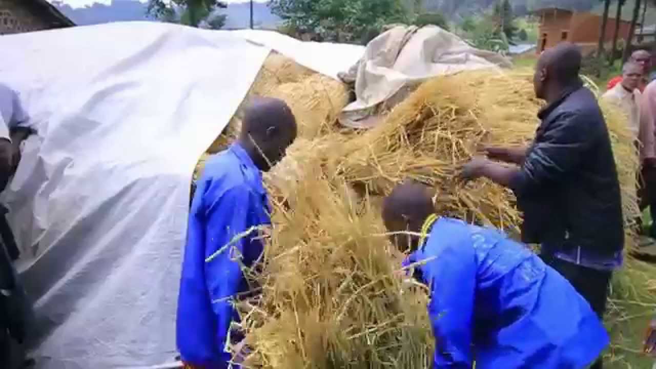 STRAWTEC Building Solutions, Kigali gives farmers training in straw handling, baling and storage